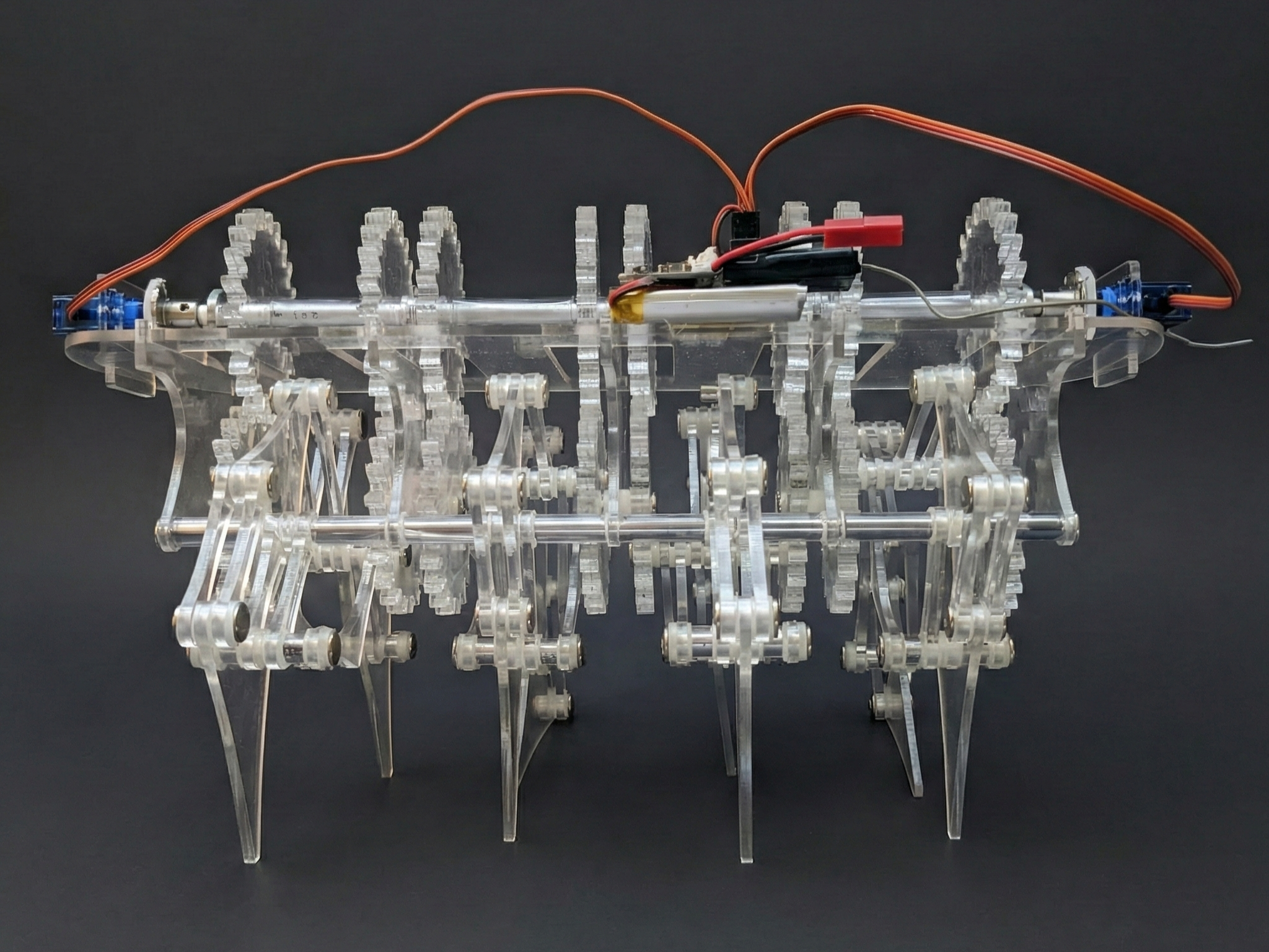 Custom RC Model Strandbeest thumbnail