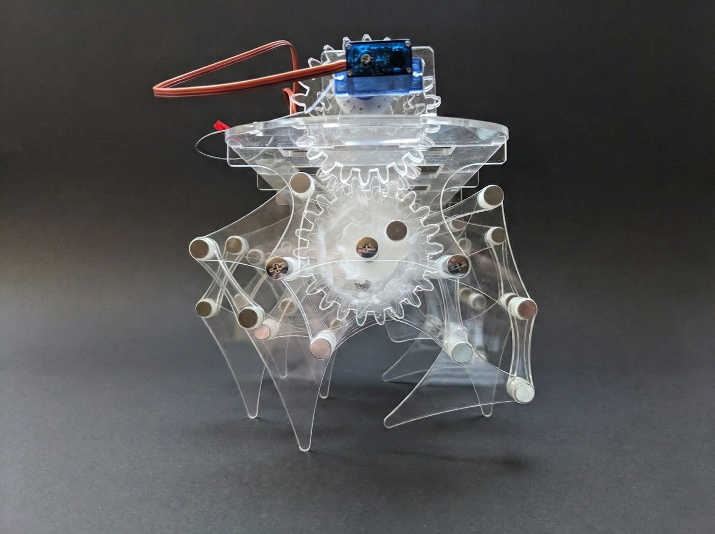 Side view of the strandbeest